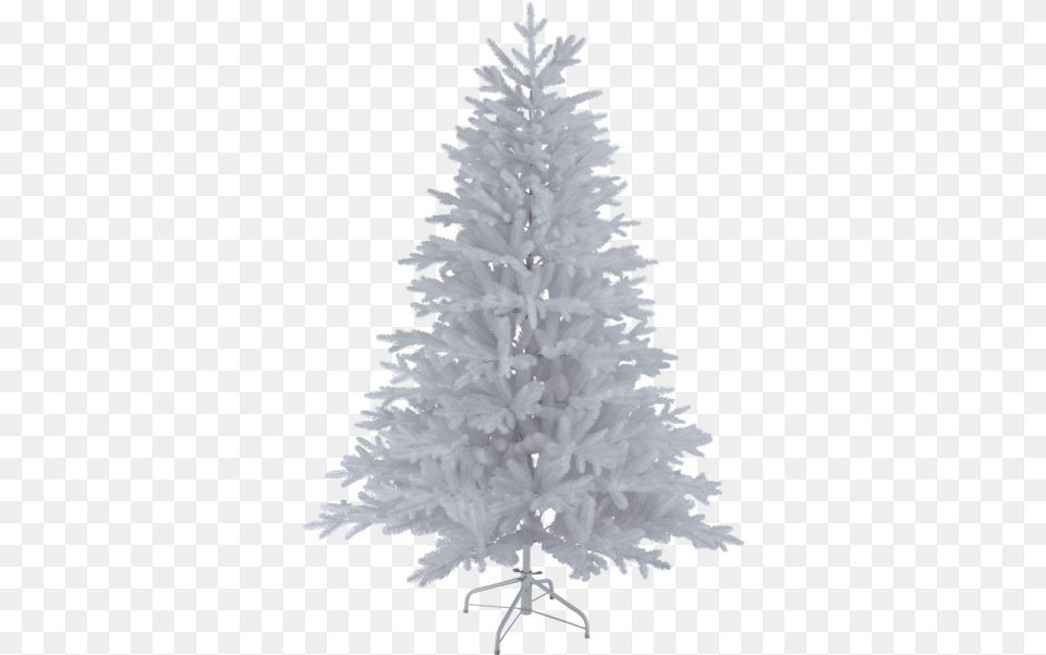 Download Christmas Tree Wasa Christmas Tree, Plant, Christmas Decorations, Festival, Christmas Tree Free Png