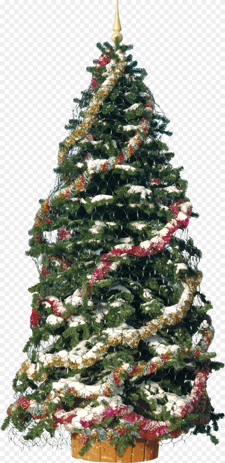 Download Christmas Tree With Decoration For Free Png