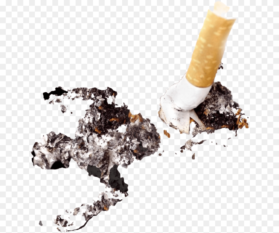 Download Cigarette Ashes Cigarette Ash, Smoke, Plant, Head, Person Png