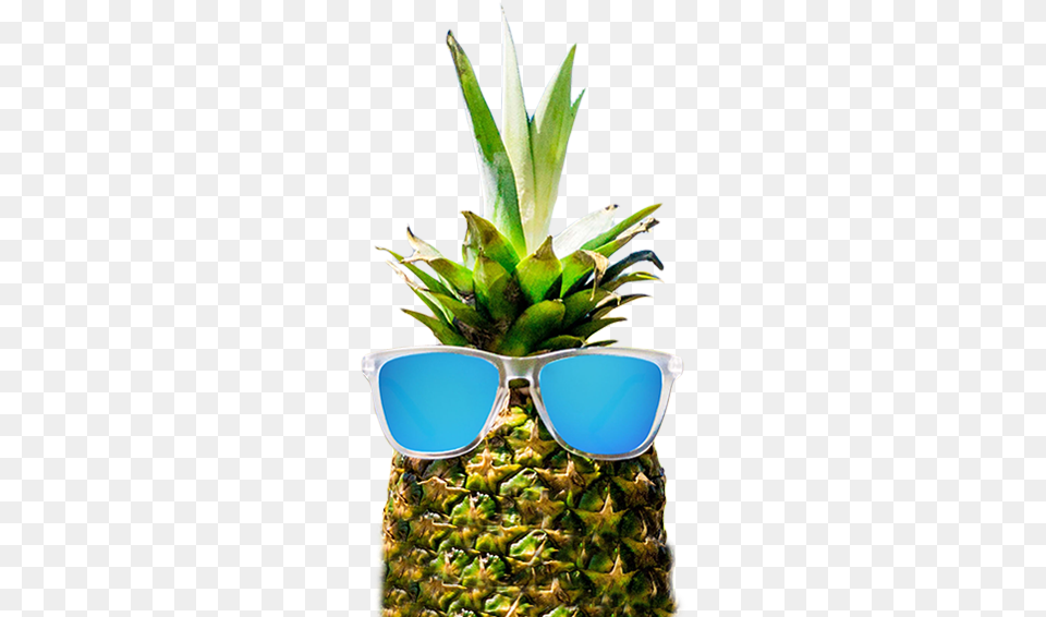 Download Classic Sunglasses Round Real Pineapple With Sunglasses, Food, Fruit, Plant, Produce Free Png