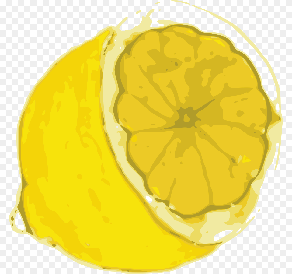 Download Clip Art, Citrus Fruit, Food, Fruit, Lemon Png Image