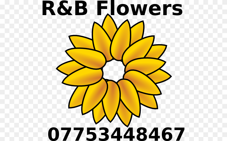 Download Clip Art Clipart Common Sunflower Sunflower M Clip Art, Dahlia, Flower, Plant, Daisy Free Transparent Png