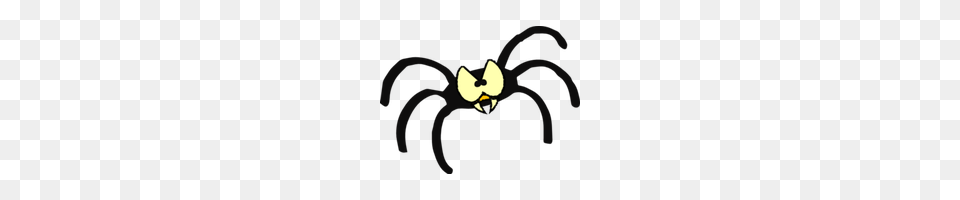 Download Clip Art Spider Image Hd Photo Clipart Animal, Invertebrate Free Transparent Png