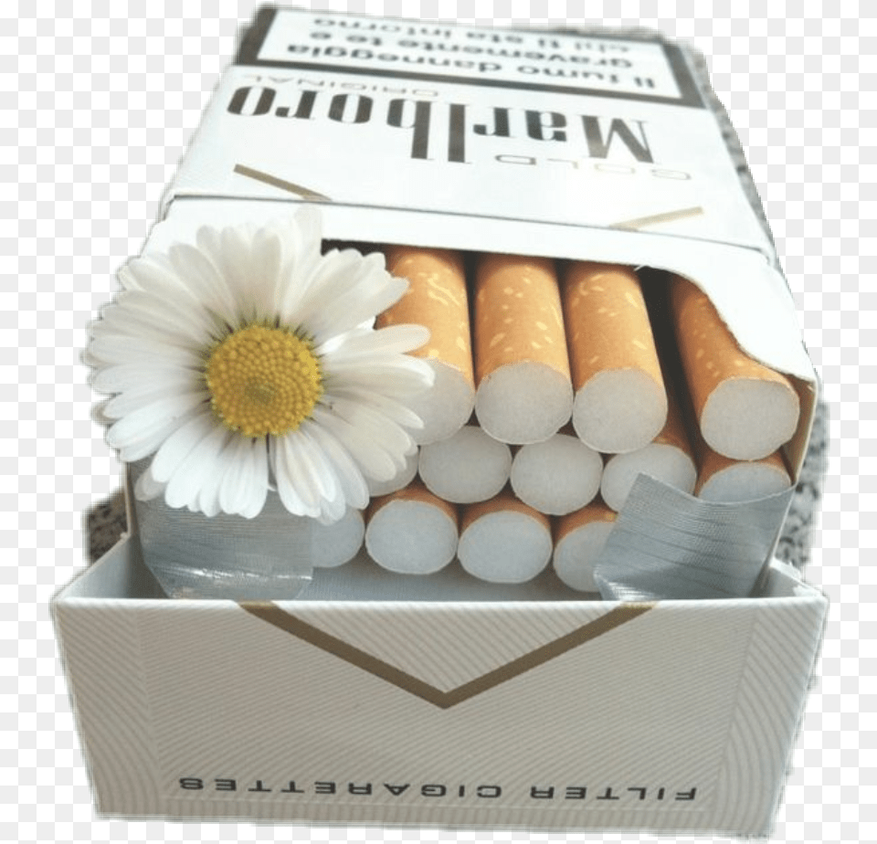 Clip Freeuse Stock Flower Aesthetic Badgirl Malboro Cigarettes, Daisy, Plant, Box, Medication Free Png Download