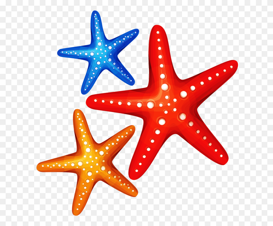 Download Clip Sea Star Cartoon Full Beach Starfish Clipart, Animal, Sea Life, Aircraft, Airplane Free Png