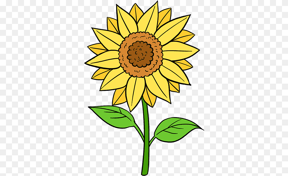 Download Clip Stock How To Draw A Sunflower Easy Flowers And Drawing Easy, Flower, Plant Png