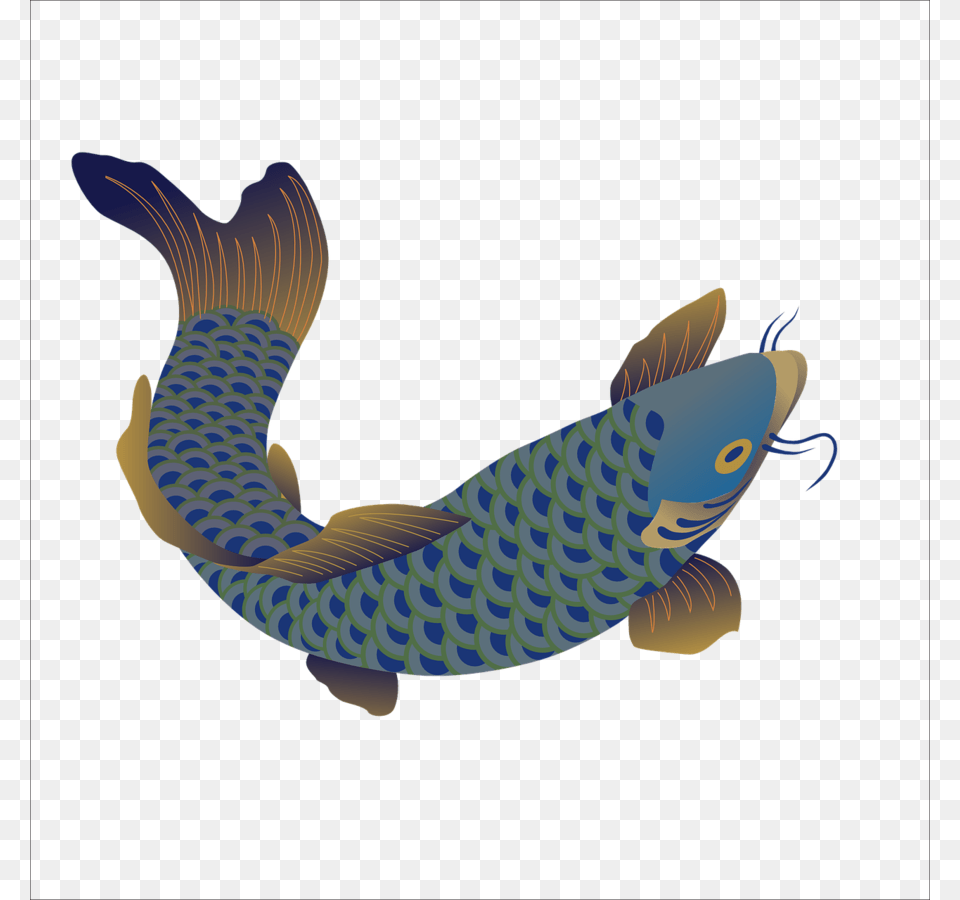 Download Clipart Clip Art Design Fish Clipart Download, Animal, Carp, Sea Life, Koi Free Png