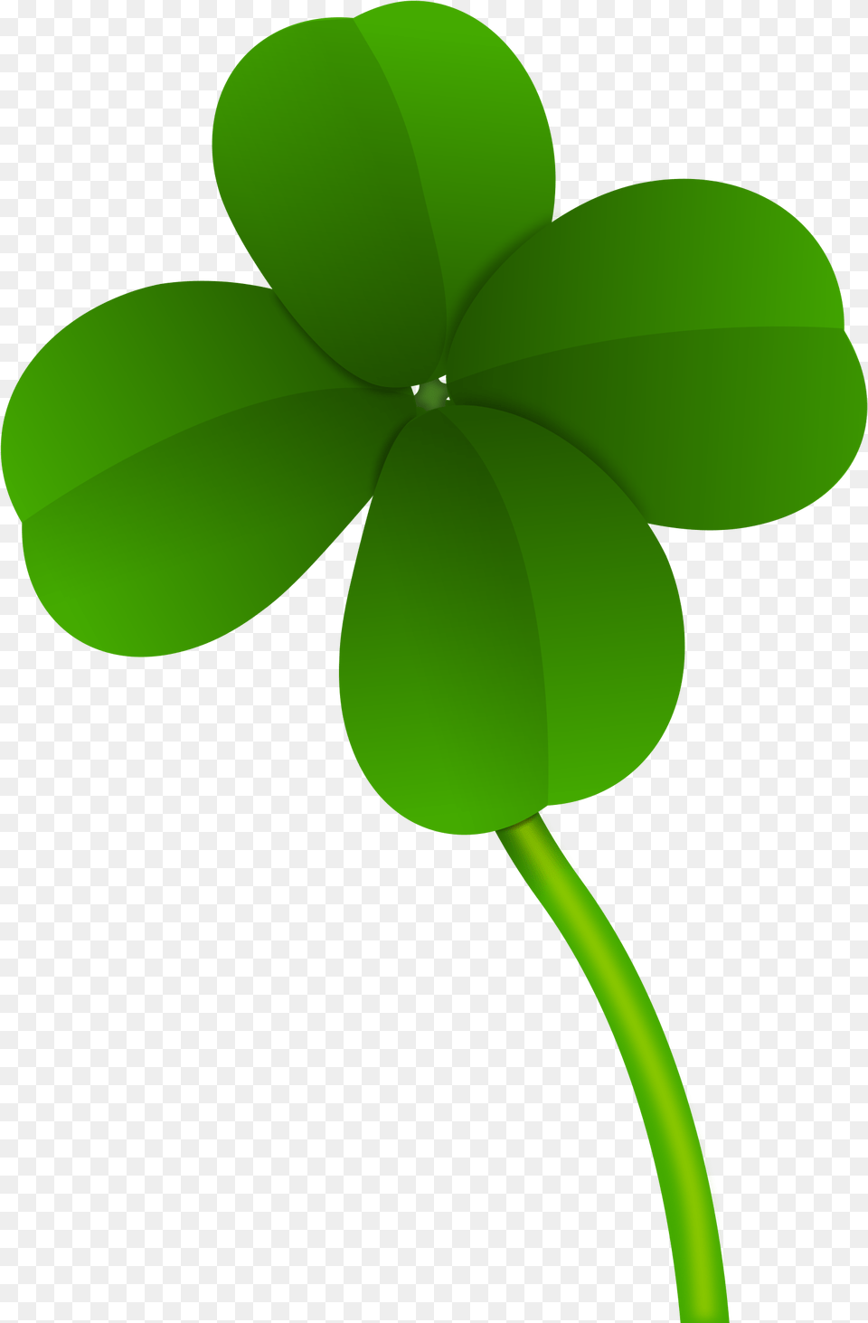 Clover Hq Image In Four Leaf Clover Transparent Background, Green, Plant, Sprout Free Png Download