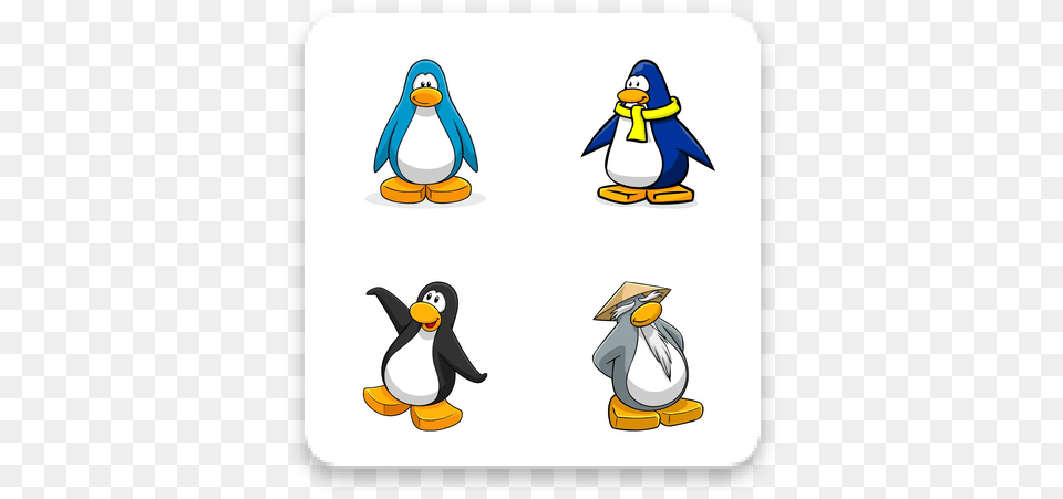 Download Club Penguin Whatsapp Stickers Sharing, Animal, Bird Png