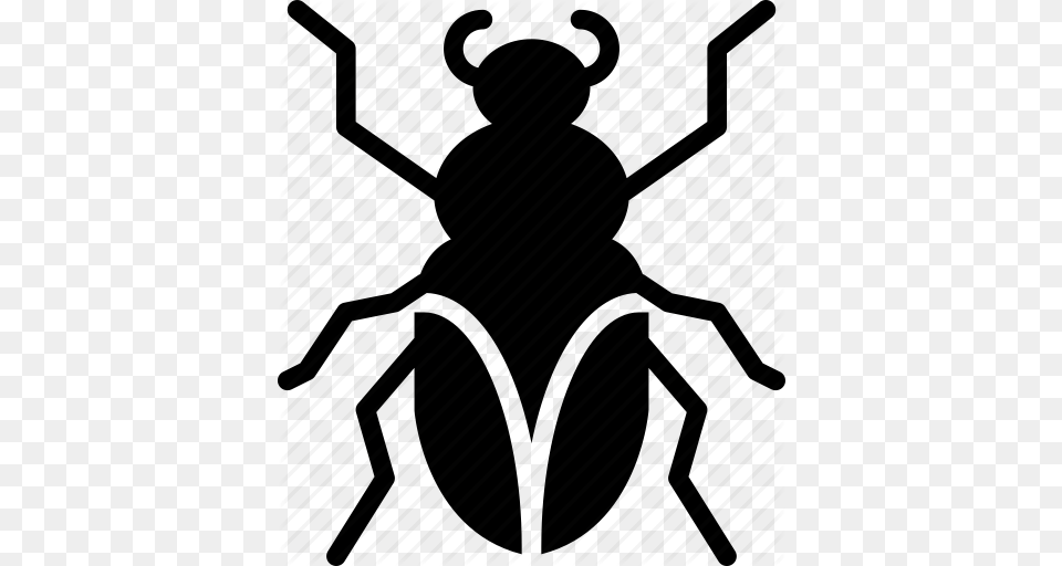 Download Cockroach Clipart Cockroach Beetle Clip Art Black, Animal, Architecture, Building Png