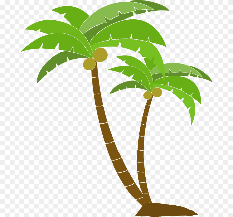 Download Coconut Palm Tree Full Palm Tree Cartoon, Palm Tree, Plant, Leaf, Vegetation Png