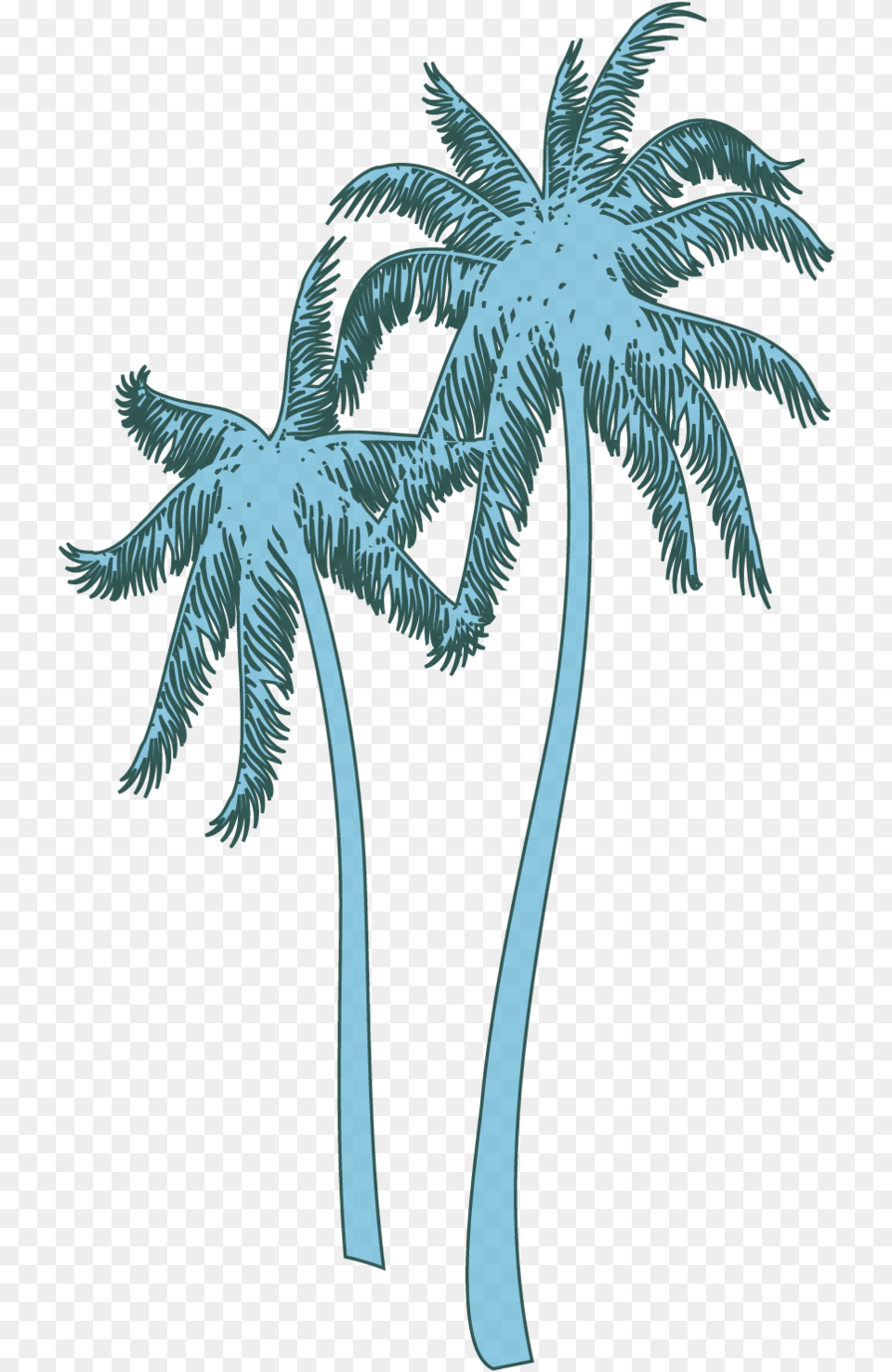 Download Coconut Tree Image With No Roystonea, Palm Tree, Plant, Animal, Bird Png