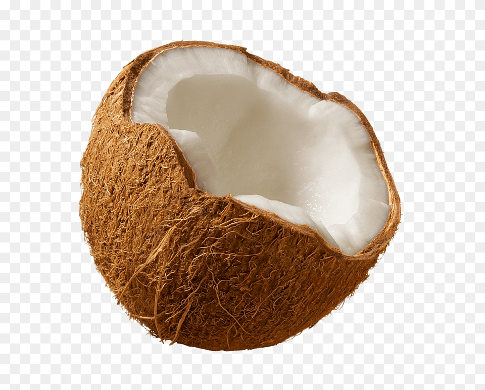 Coconuts For Coconut, Food, Fruit, Plant, Produce Free Png Download