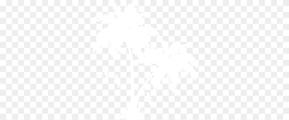 Download Collection Of Transparent White Palm Tree Palm Tree White, Palm Tree, Plant, Stencil, Animal Free Png
