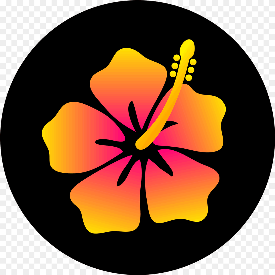 Download Colorful Hibiscus Flower Design Hawaiian Flowers Hibiscus Flower Design, Plant, Anther, Petal Png