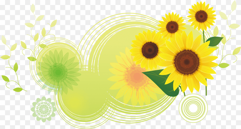 Download Common Sunflower Illustration Bottom Flower, Art, Floral Design, Graphics, Pattern Png