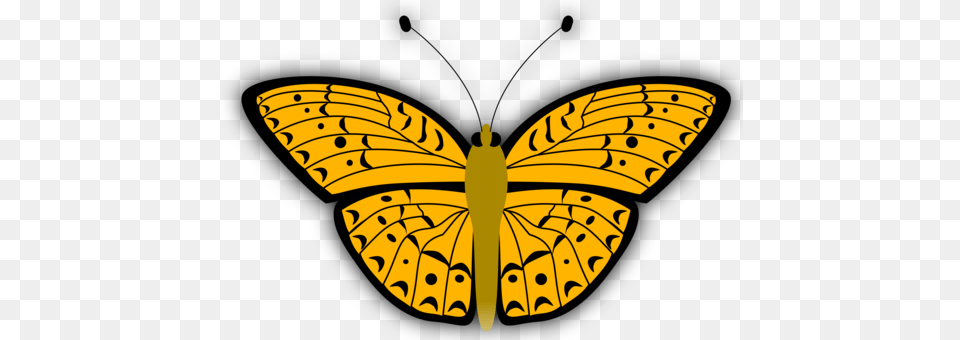 Download Computer Icons Graphic Arts Drawing, Animal, Butterfly, Insect, Invertebrate Free Png