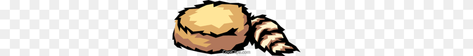 Download Coonskin Caps Clipart Coonskin Cap Hat Raccoon Hat Cap, Electronics, Hardware Png Image