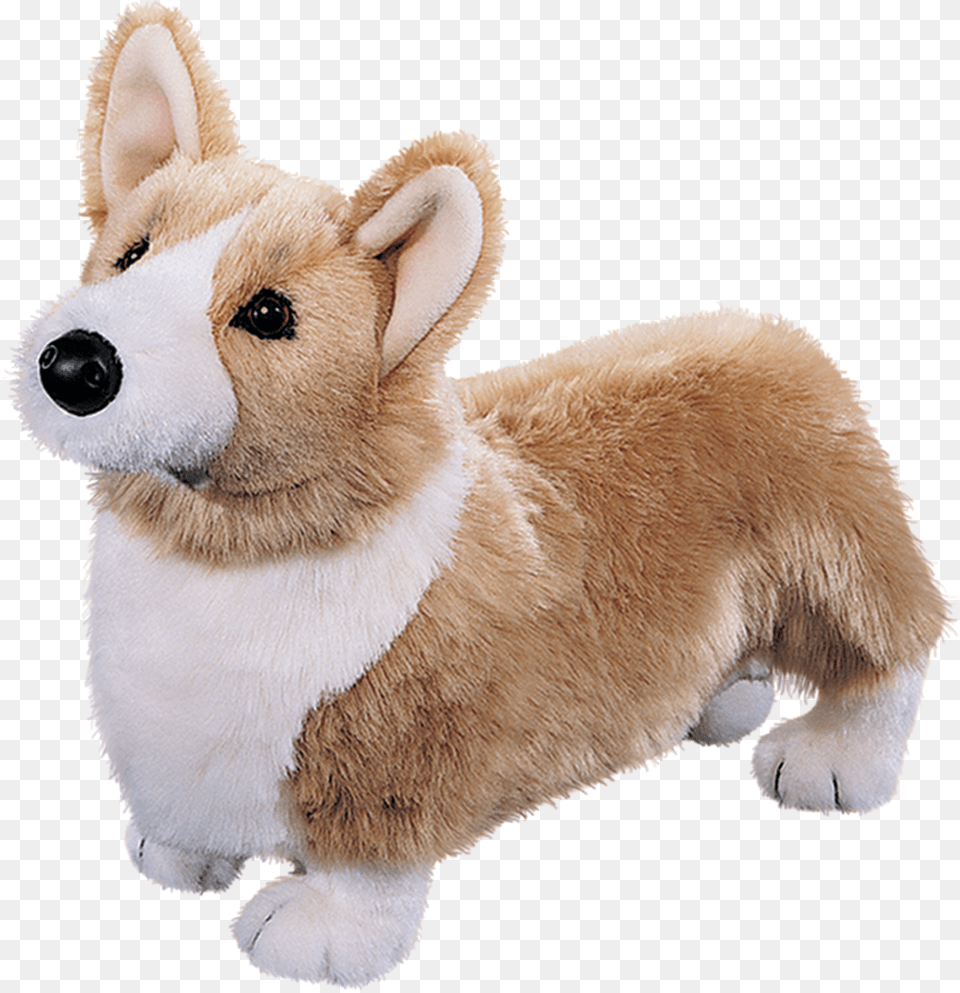 Download Corgi Dog Corgi Stuffed Toy With No Corgi Stuffed Animal Png Image