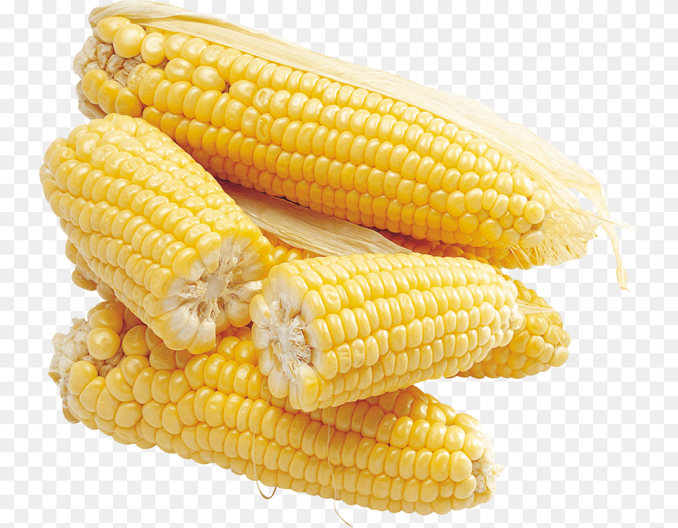 Download Corn Images Background Kukuruza, Food, Grain, Plant, Produce Free Png