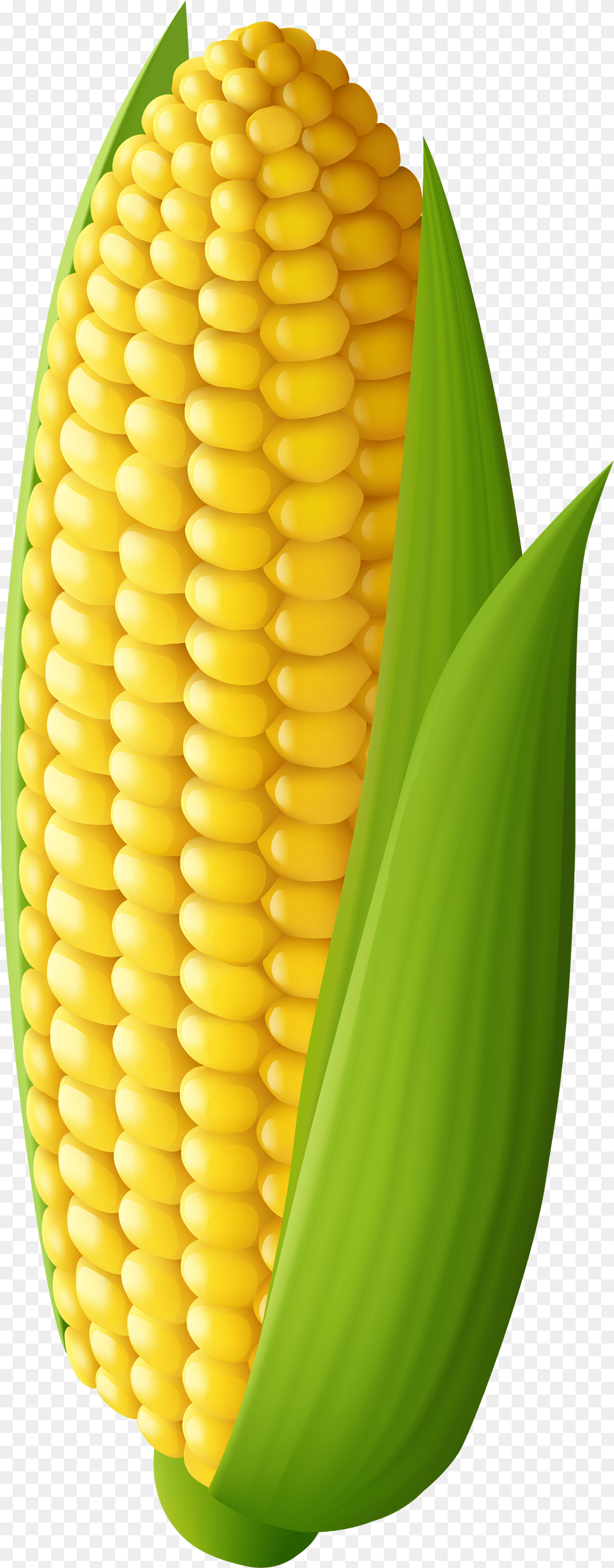 Download Corn Transparent Transparent Background Corn On The Cob Clip Art Png