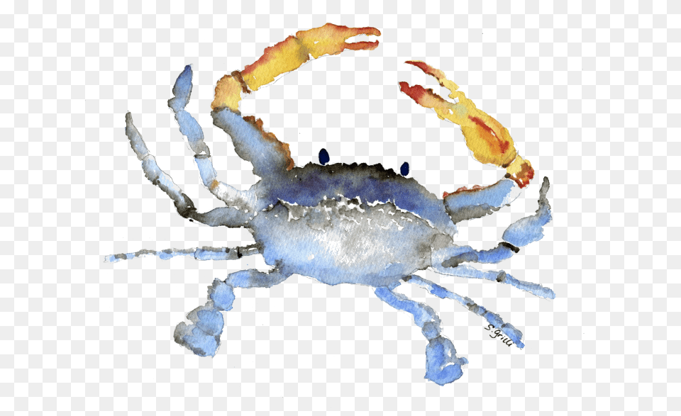 Download Cornelius The Crab Watercolor Watercolor Crab Transparent Background, Food, Seafood, Animal, Invertebrate Png