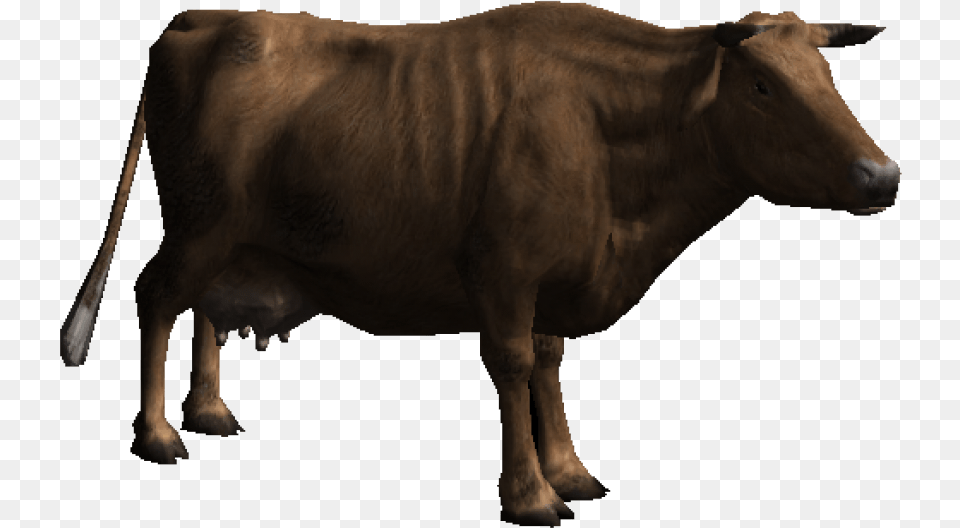 Download Cow Images Background Images, Animal, Bull, Mammal, Ox Free Transparent Png