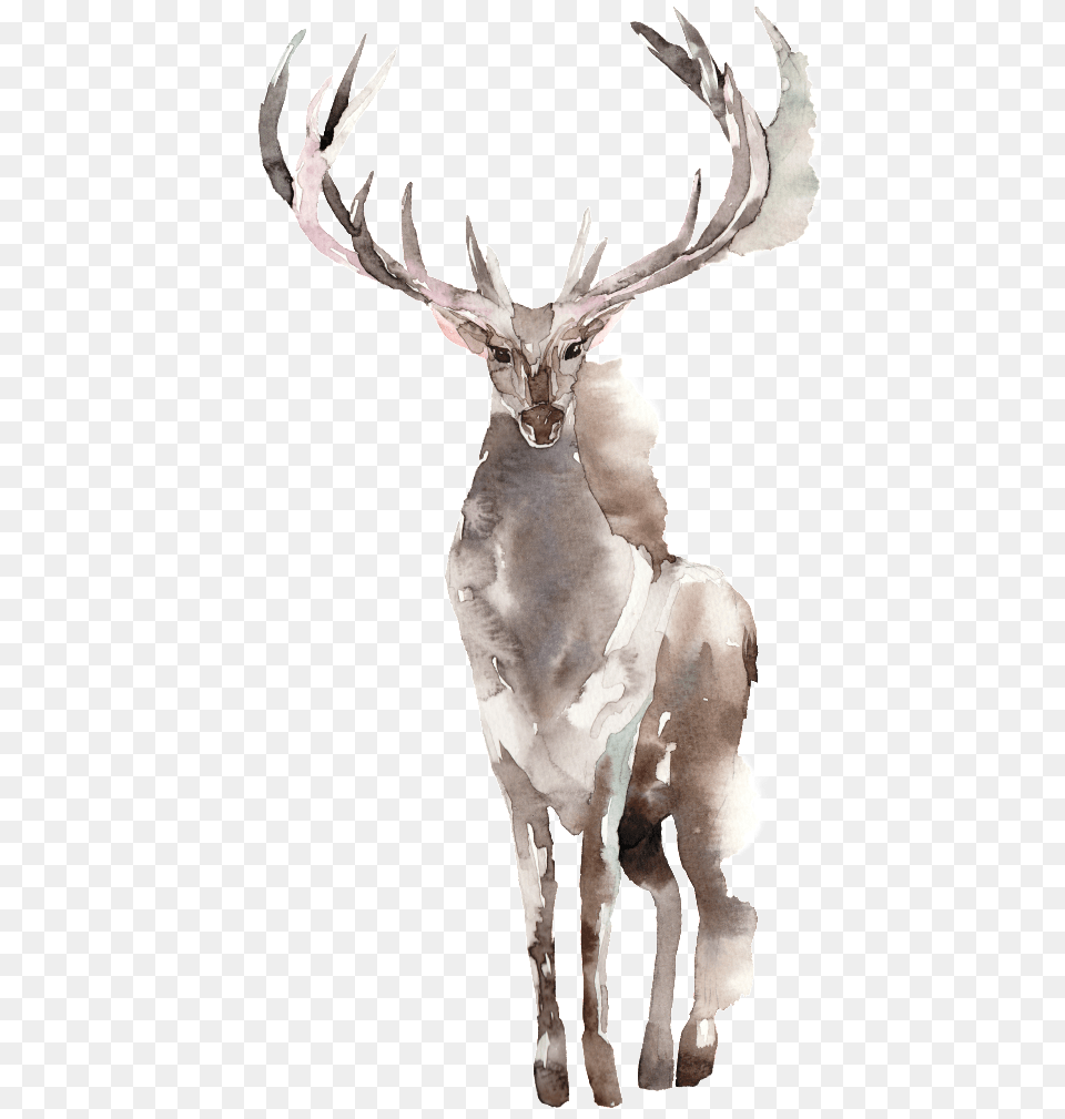 Download Creative Elk Design Watercolor Design Elk, Animal, Deer, Mammal, Wildlife Png Image