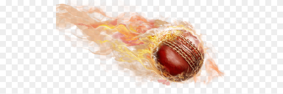 Download Cricket Ball Fire Fire Cricket Ball, Sphere, Accessories, Ornament, Pattern Png Image