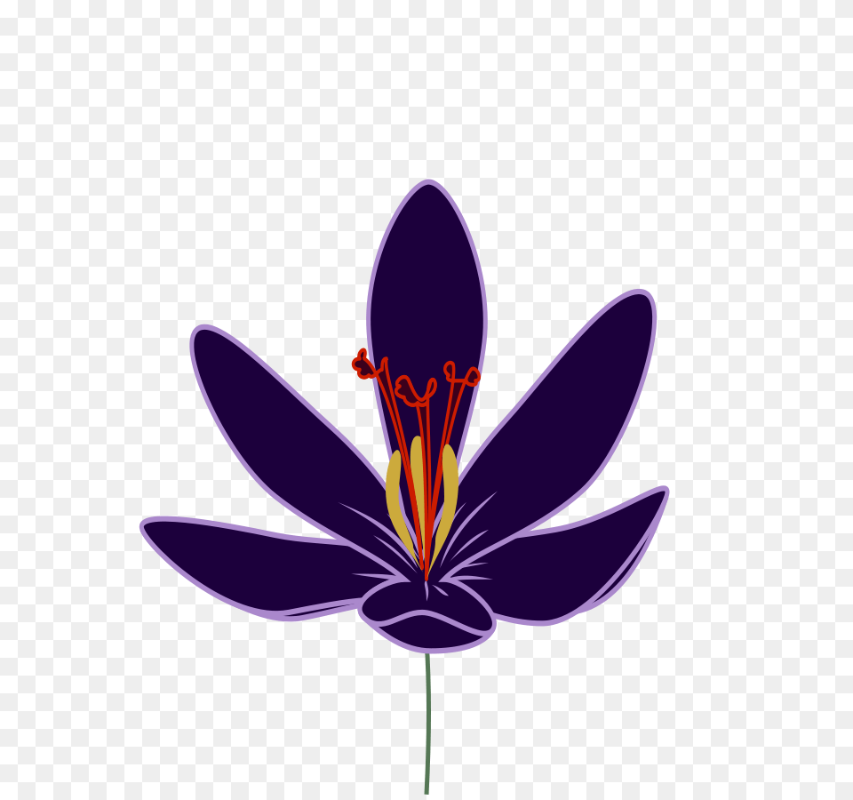 Crocus Blossom Clipart, Anther, Flower, Plant Free Png Download