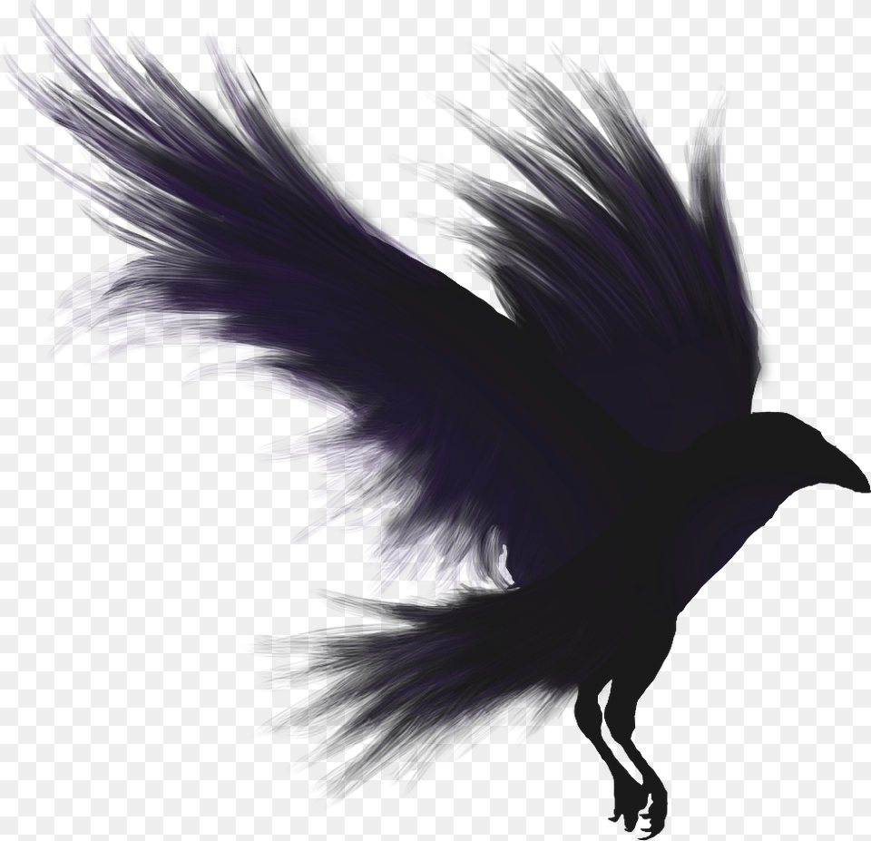 Download Crows Shadow Emblem Raven, Animal, Bird, Blackbird, Purple Free Png