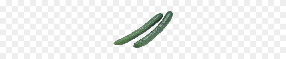 Download Cucumber Free Photo And Clipart Freepngimg, Food, Plant, Produce, Vegetable Png Image