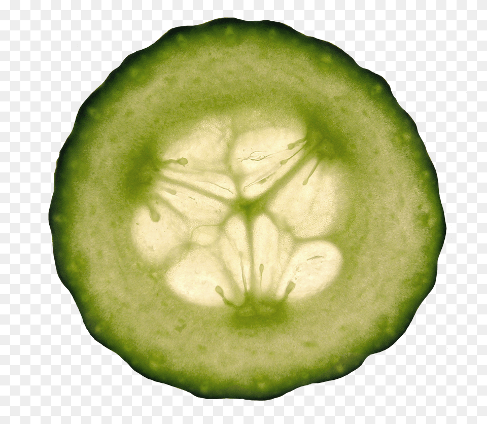 Cucumber Slice Clipart Cucumber Hd Clip Art, Food, Plant, Produce, Vegetable Free Png Download
