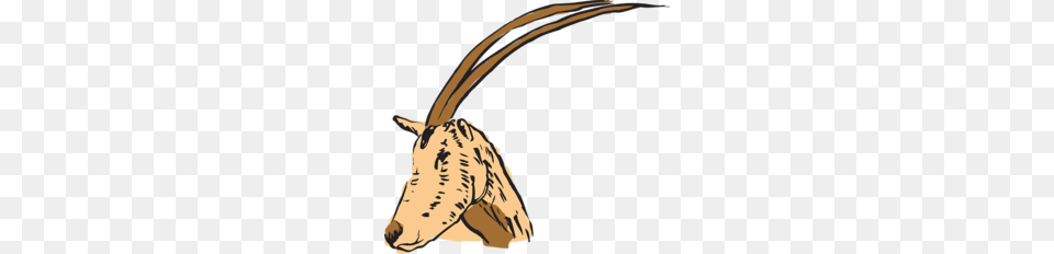 Cuernos En Antilope Clipart Antelope Horn Clip Art, Animal, Mammal, Wildlife Free Png Download