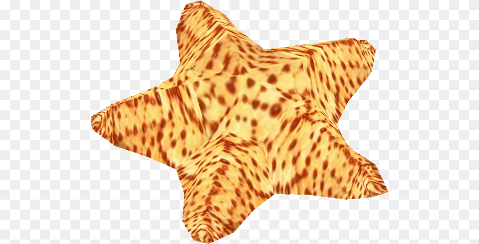 Download Cushion Sea Star Starfish Image With No Starfish, Animal, Sea Life, Invertebrate, Mammal Free Transparent Png