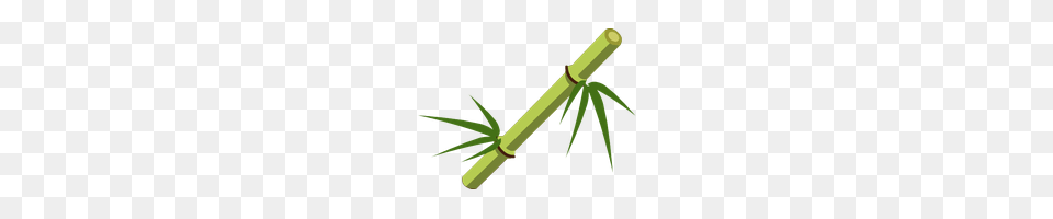 Download Cute Photo And Clipart Freepngimg, Bamboo, Bow, Plant, Weapon Free Png