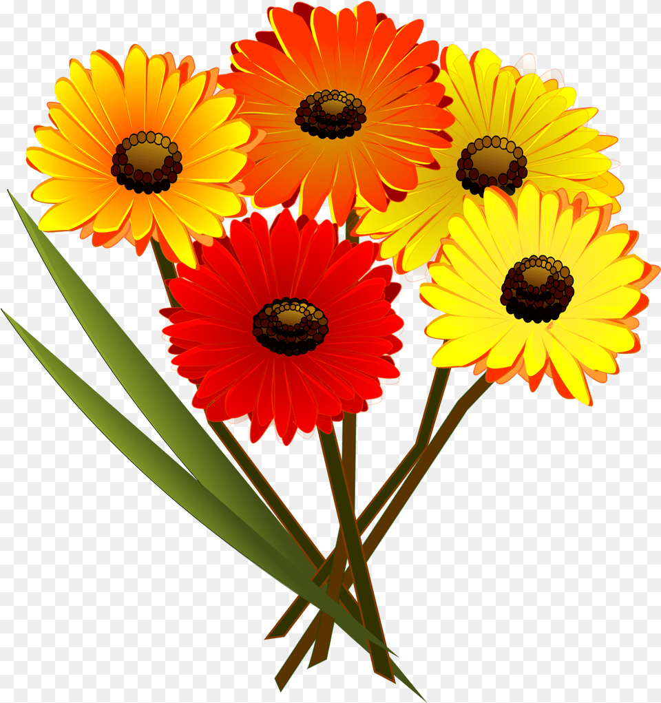 Download Daisy Clipart Flower Bunch Red Yellow And Orange Flowers, Plant, Petal, Flower Arrangement, Flower Bouquet Free Transparent Png