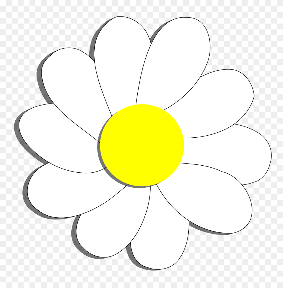 Download Daisy Clipart Flower Daisy Flowers Clipart Simple Easy Trippy Things To Draw, Anemone, Plant, Petal Png
