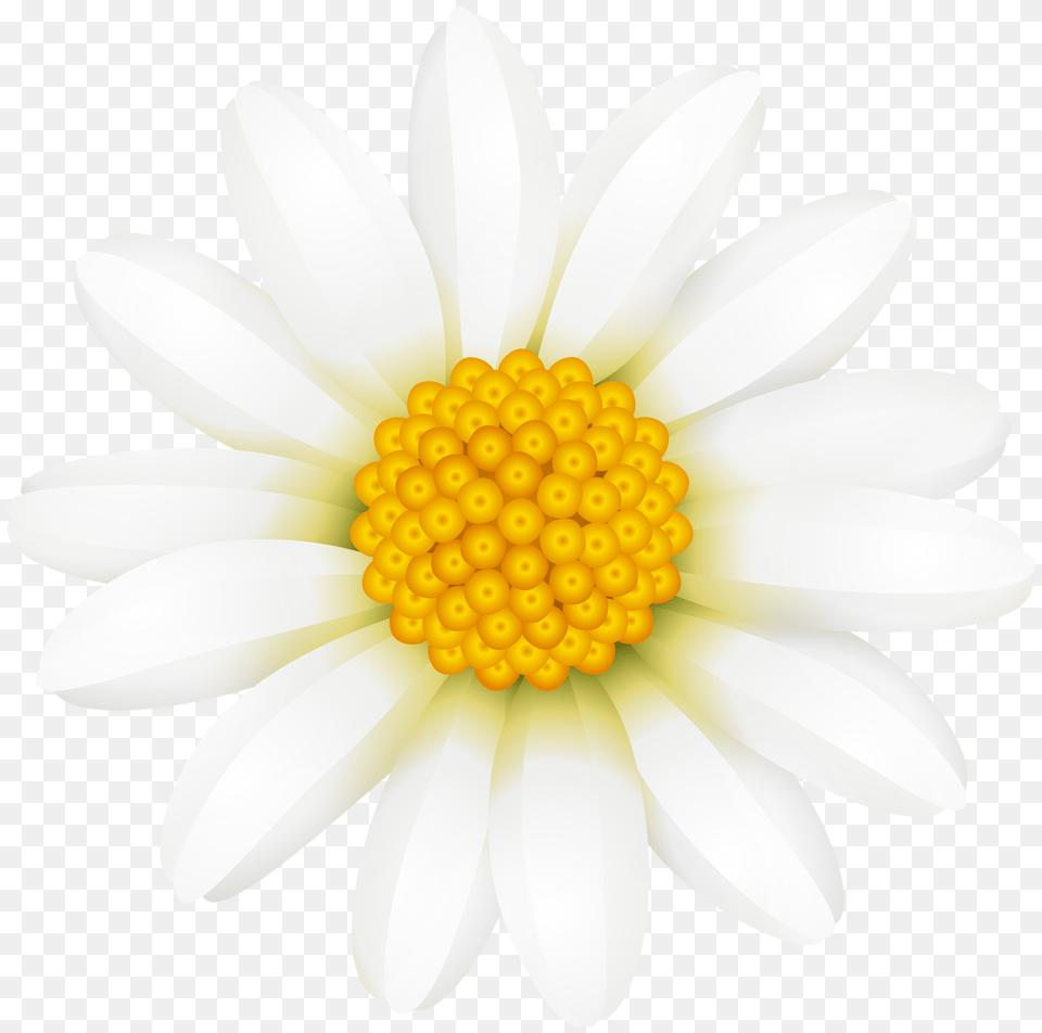 Download Daisy Flower Crown Full Size Free Transparent Png