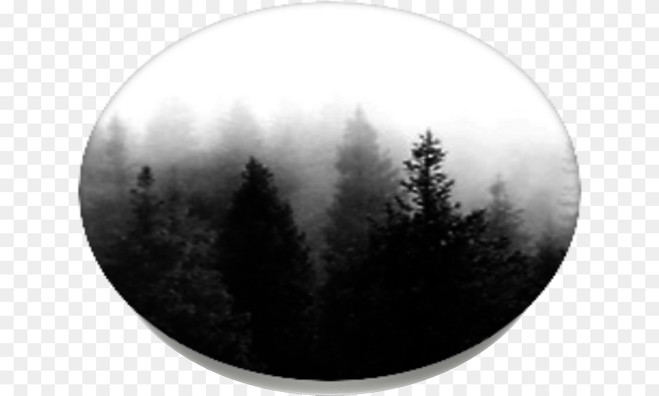 Download Dark Forest Popsockets Christmas Tree Full Larch, Weather, Outdoors, Nature, Night Free Transparent Png
