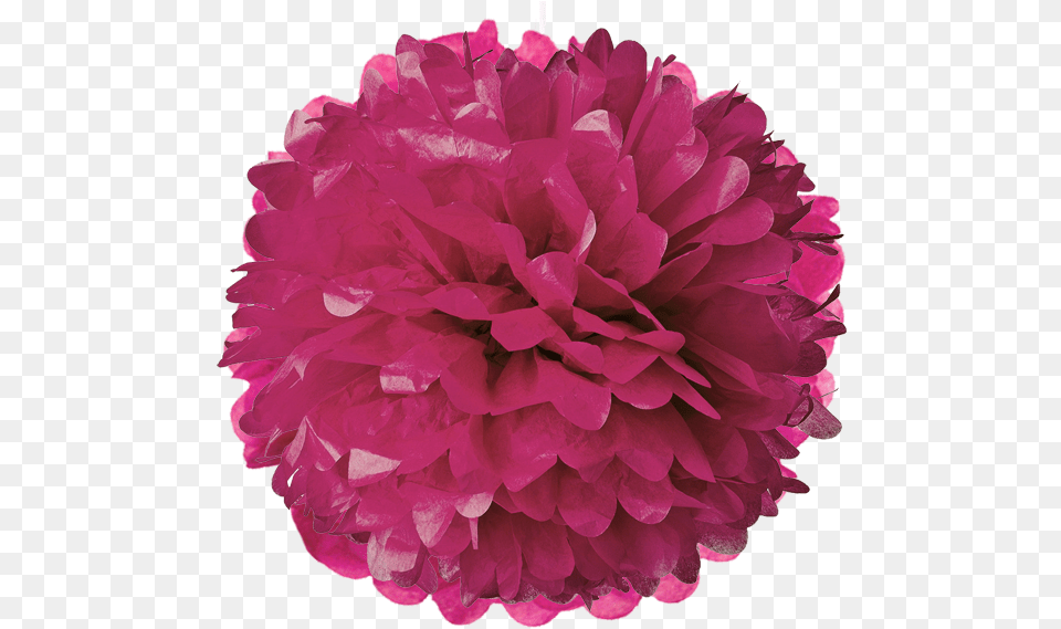 Download Dark Magenta Tissue Pom Poms Turquoise Blue 30 Paper Pom Poms, Dahlia, Flower, Plant, Towel Free Transparent Png