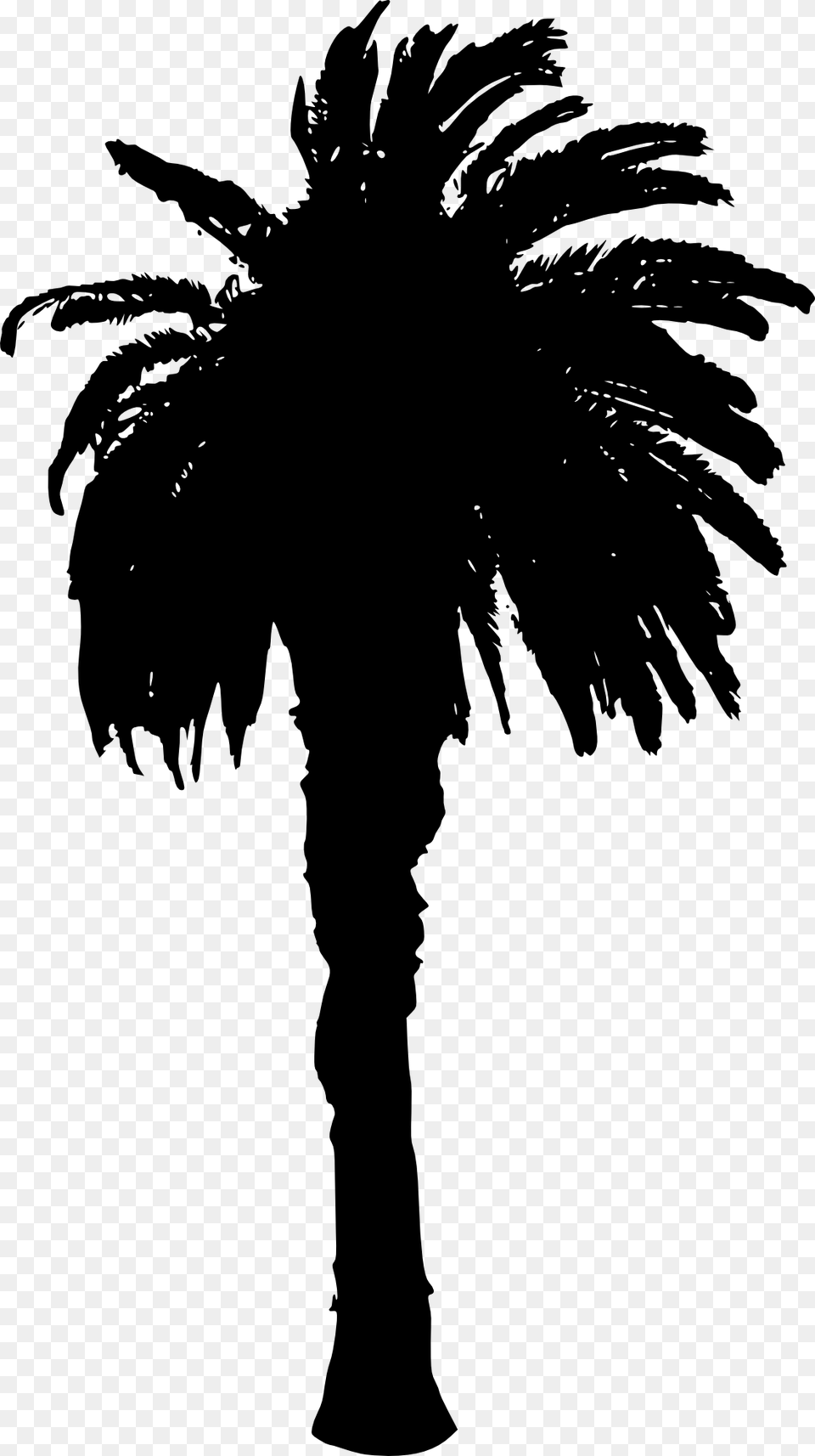 Download Date Tree Silhouette, Palm Tree, Plant, Person, Adult Free Png