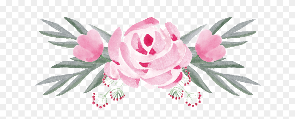 Download De Ornamento Transparente E Decorativo Garden Roses, Art, Plant, Pattern, Graphics Free Png