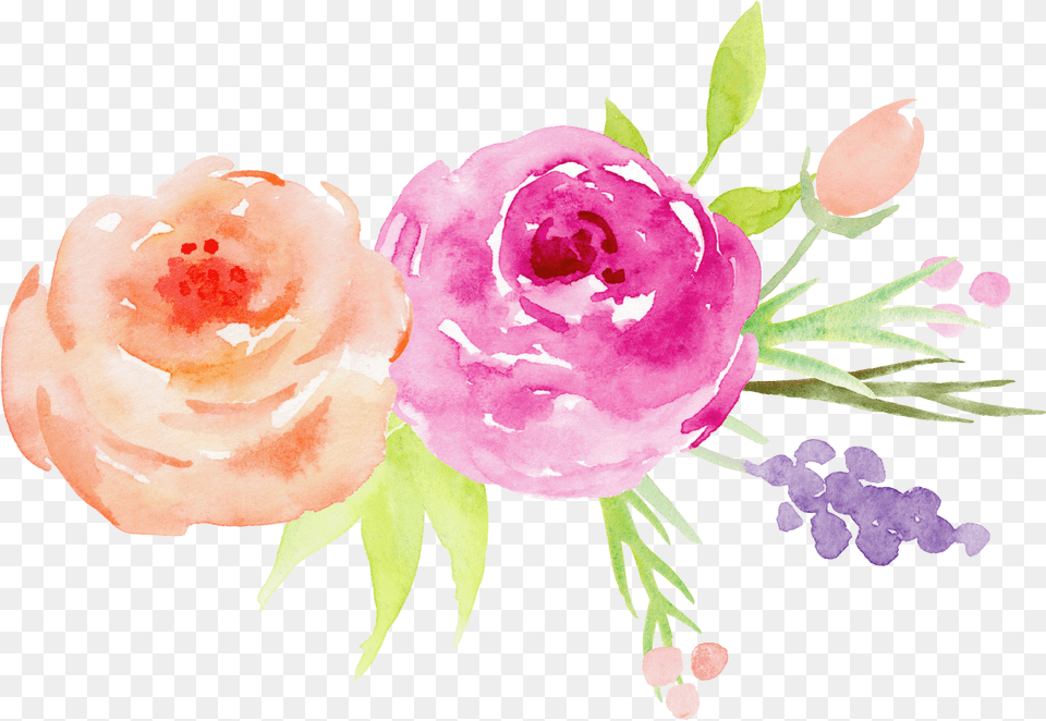 Download Decorative Flower Garden Watercolor Paint Flower, Rose, Plant, Flower Arrangement, Flower Bouquet Png Image