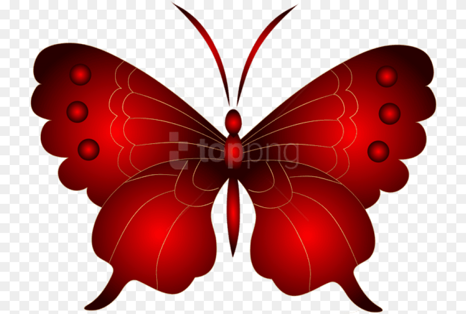 Download Decorative Photo Butterfly Red Images Background, Accessories, Animal, Insect, Invertebrate Free Transparent Png