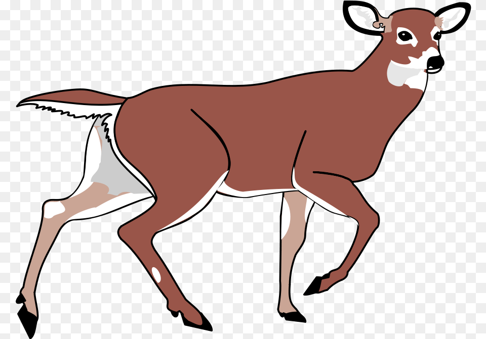 Download Deer Black And White Clipart Animated Deer, Animal, Mammal, Wildlife, Person Free Transparent Png