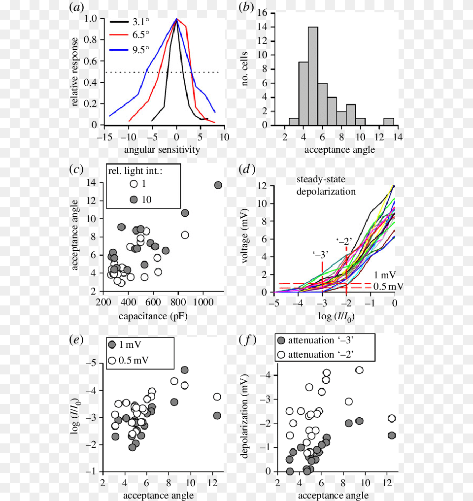 Diagram, Chart, Plot Free Png Download