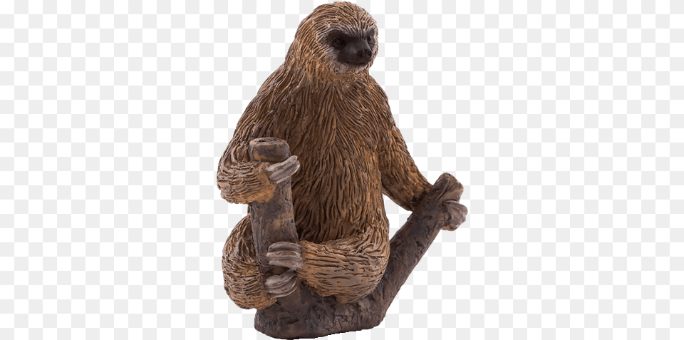 Download Did Animal Planet Two Toed Sloth With Mojo Two Toed Sloth, Bird, Wildlife, Mammal, Three-toed Sloth Png Image