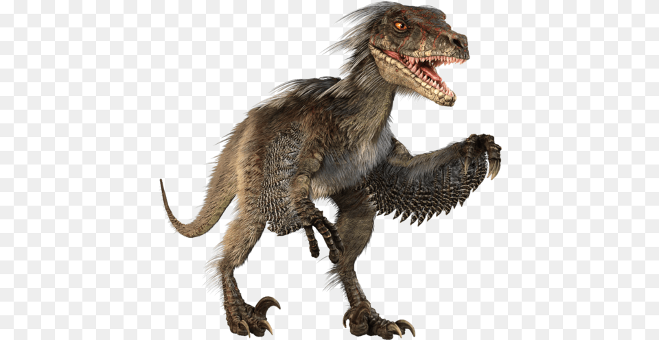 Download Dinosaur Background Raptor Dinosaur, Animal, Reptile, T-rex Png Image