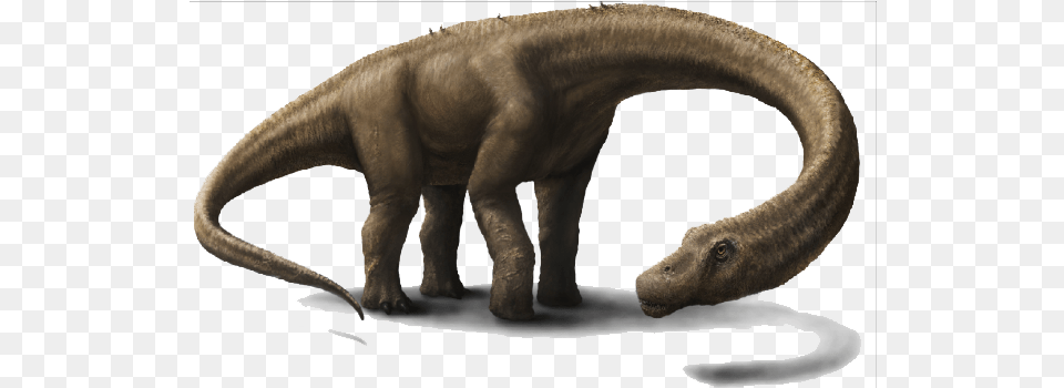 Download Dinosaur Hd 1 Argentina Dinosaur, Animal, Reptile, Elephant, Mammal Png